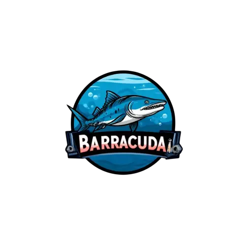 Barracuda