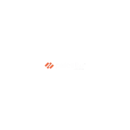 Palo