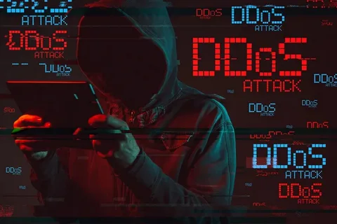 Professional DDoS